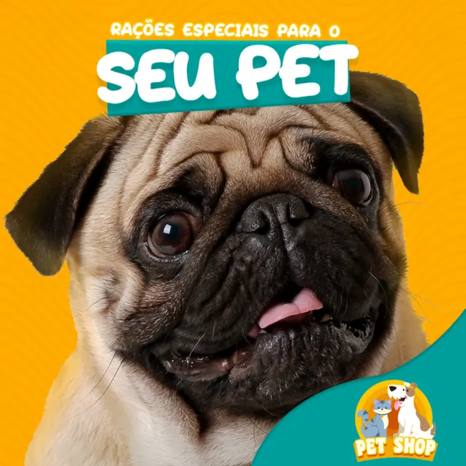 Gestao de Redes Sociais para Petshop Feed e1625795134599